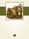 White Wine Label 018